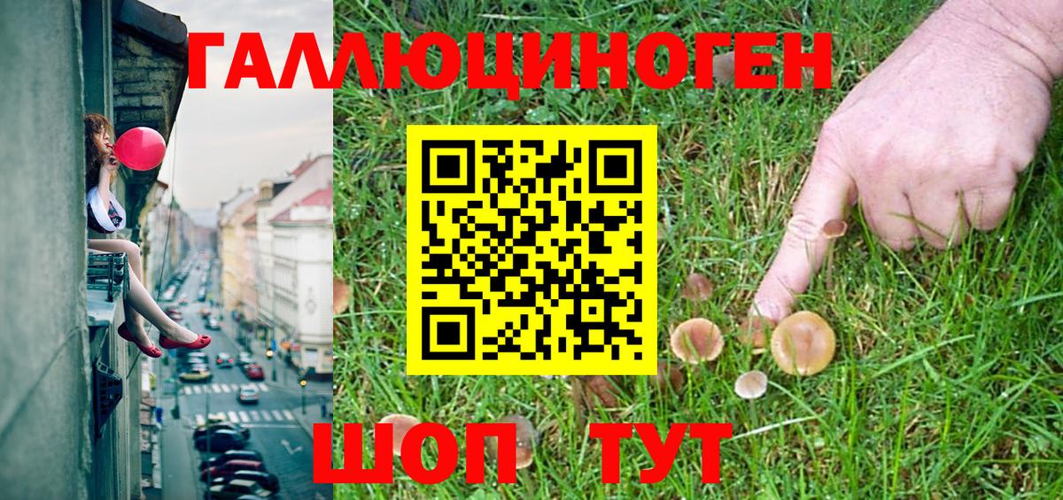 Псилоцибиновые грибы MAGIC MUSHROOMS  Вход с VPN  купить   Алейск 