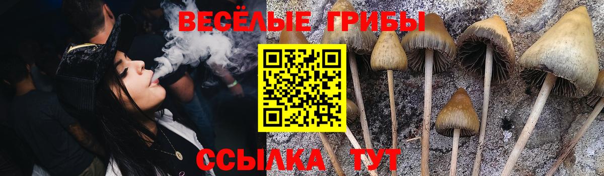 Псилоцибиновые грибы прущие грибы Алейск